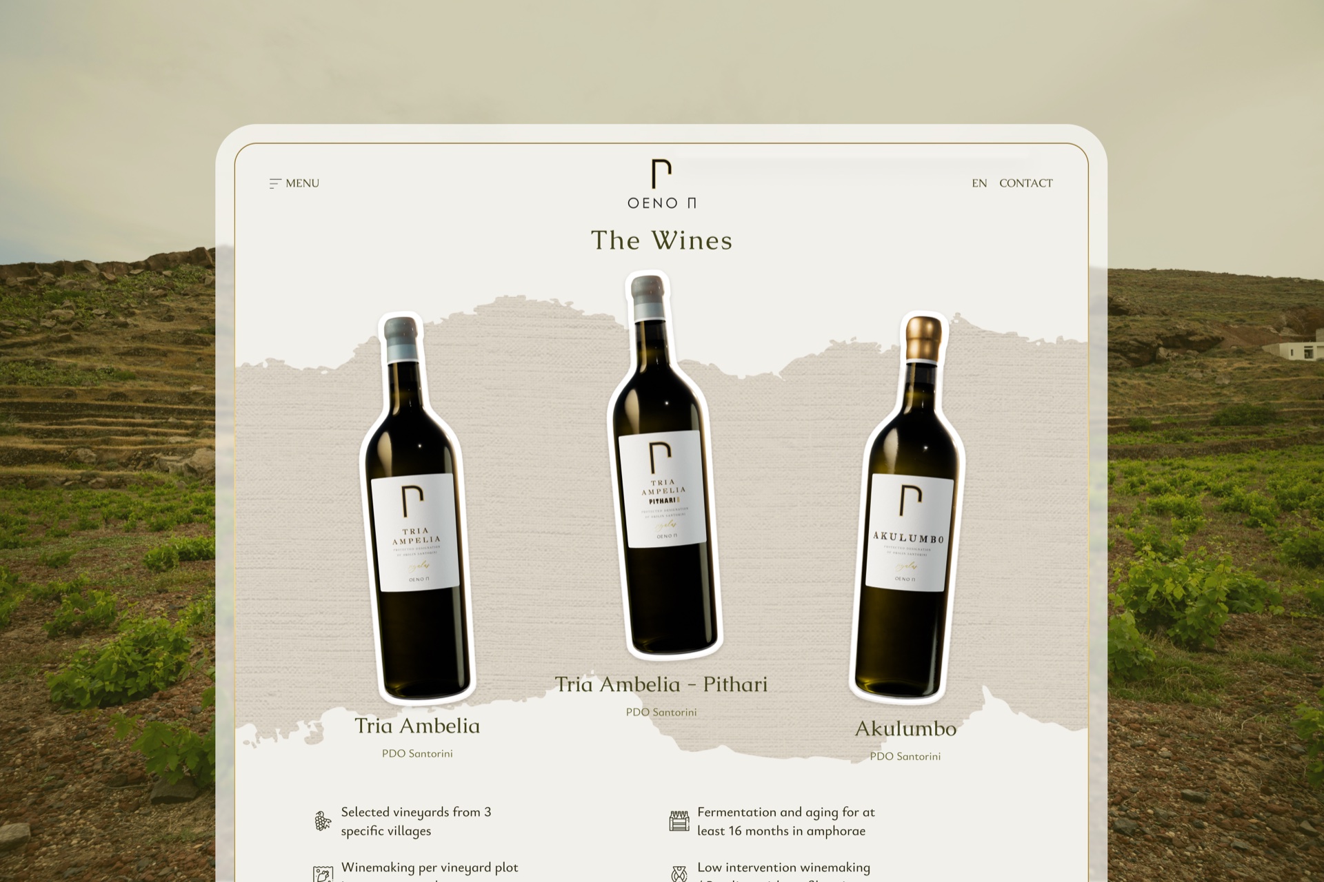 OENO P // Paris Sigalas Winery Website